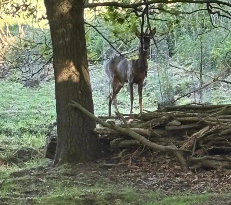Photo of Others in Crowle