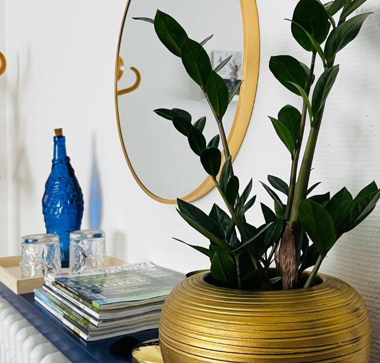 Photo of Others in Mutzig