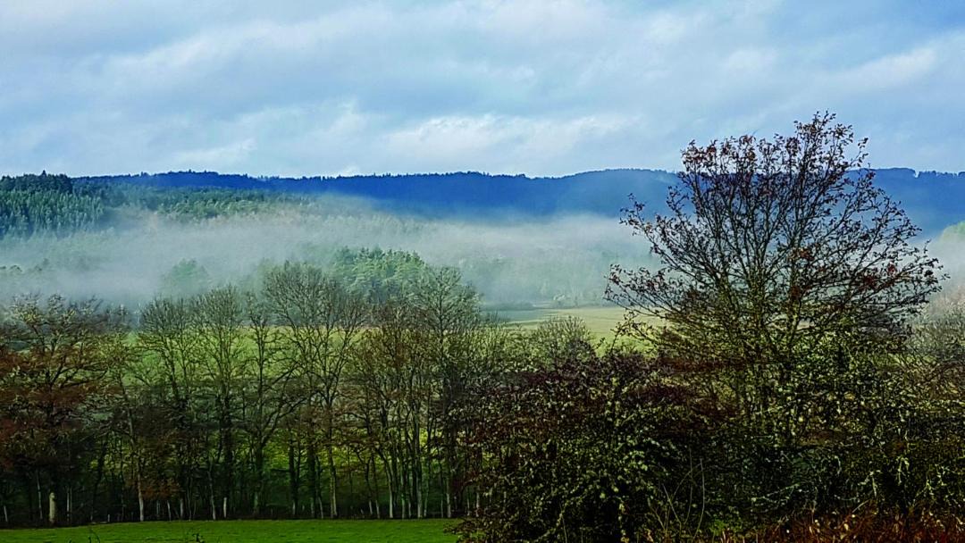 Photo of Others in Marsac-en-Livradois