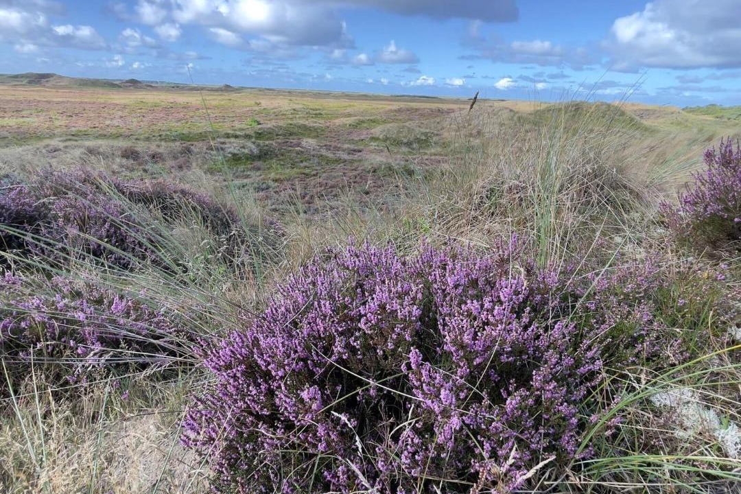 Photo of Others in Sønderstrand