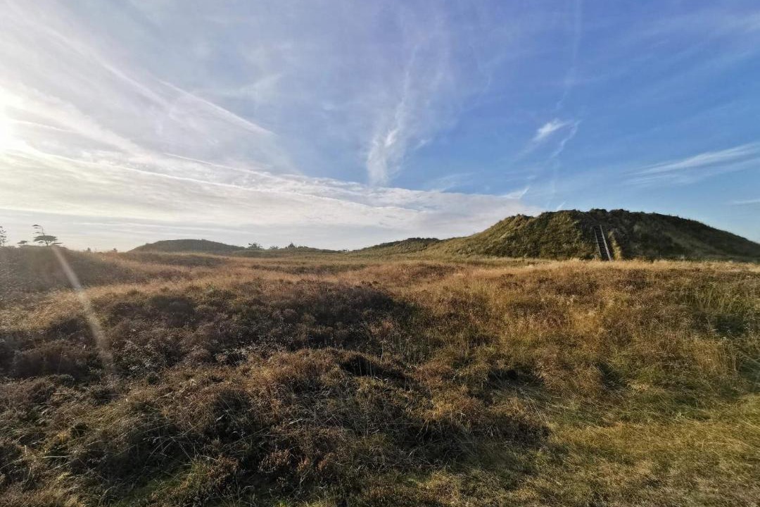 Photo of Others in Sønderstrand