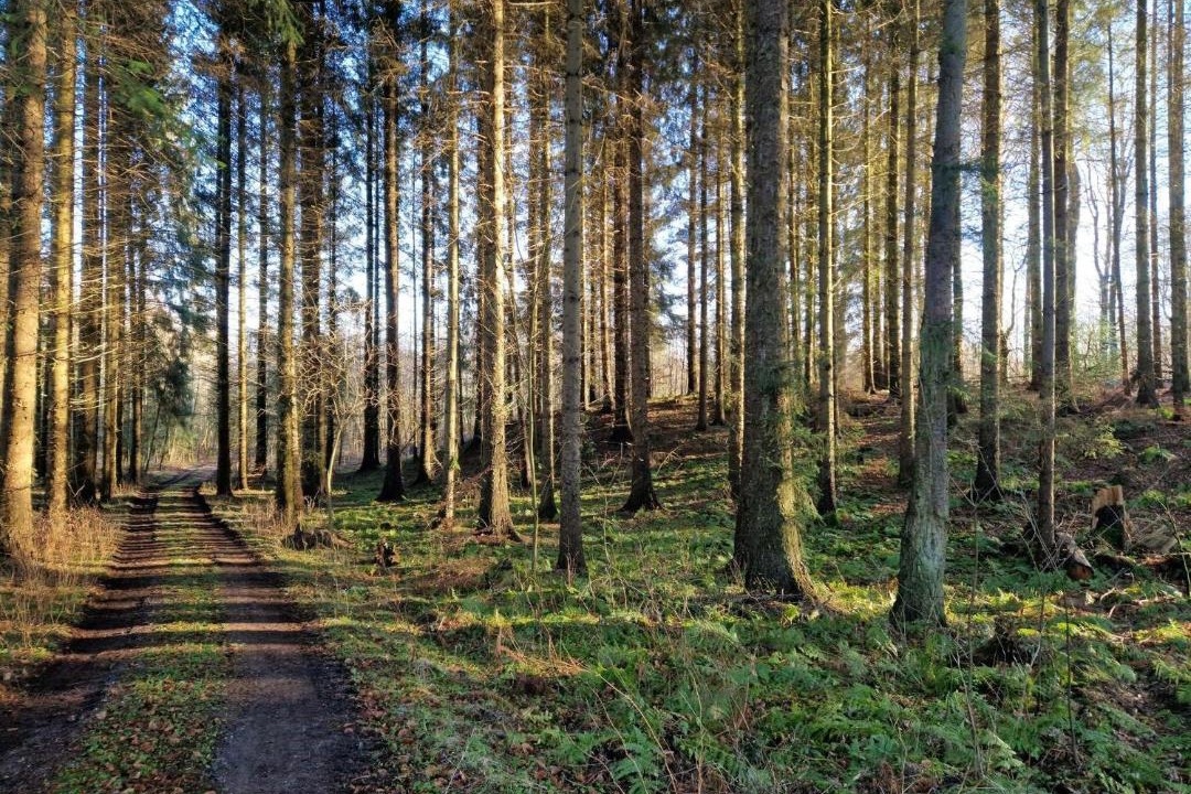 Photo of Others in Bjert