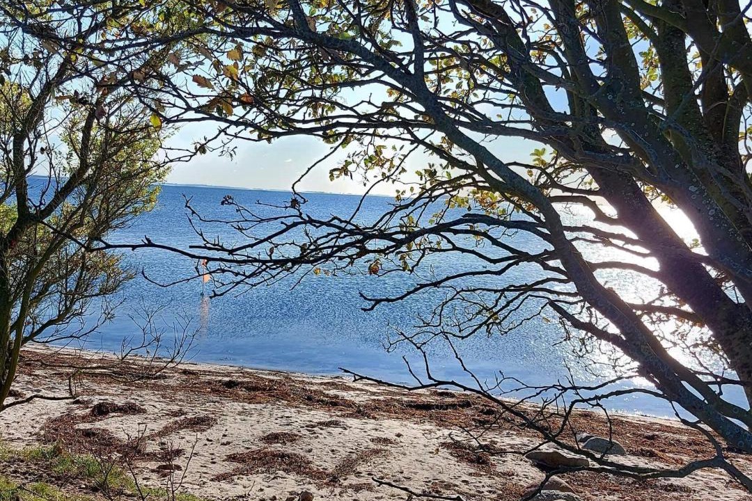 Photo of Others in Bjert