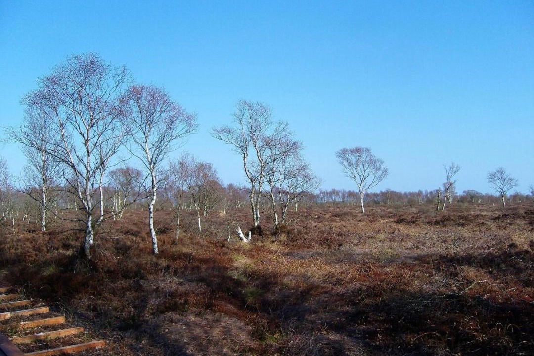 Photo of Others in Egense