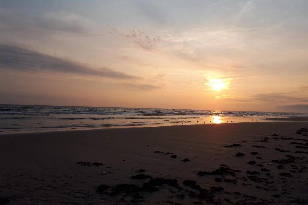 Photo of Others in Rindby Strand