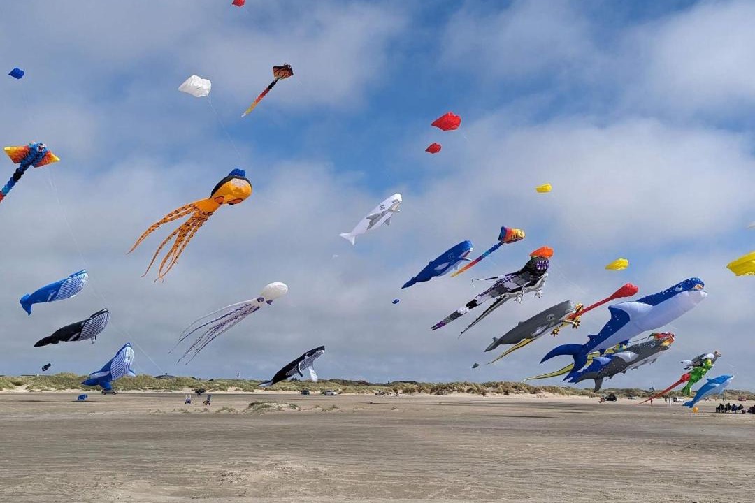 Photo of Others in Rindby Strand