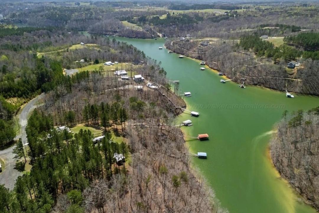 Photo of Others in Crane Hill
