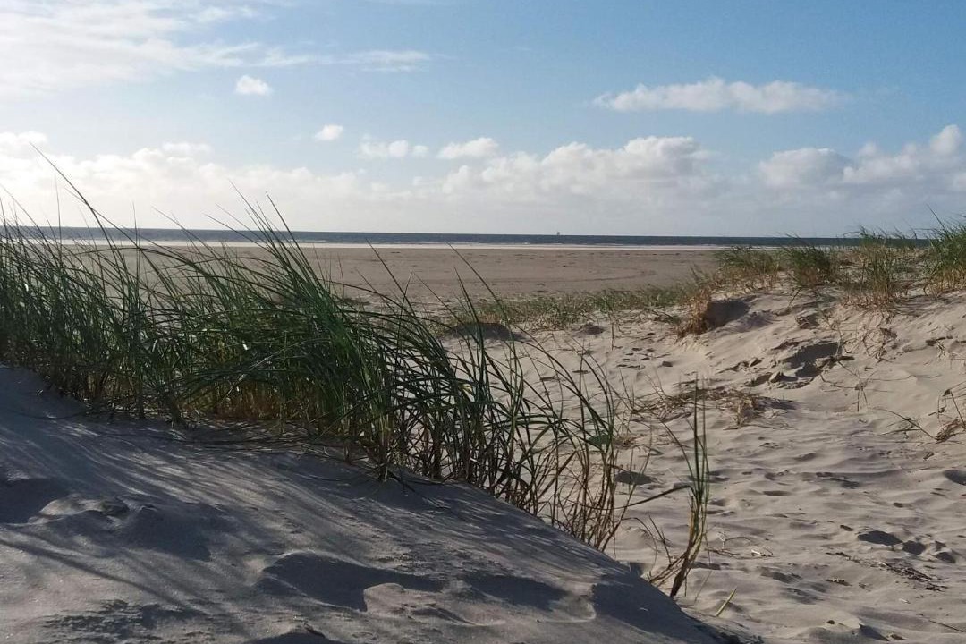 Photo of Others in Rindby Strand