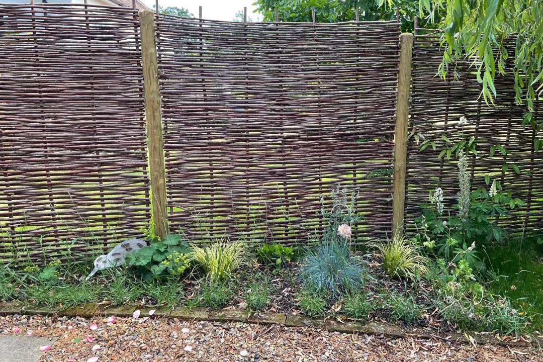 Photo of Outdoor in Eye