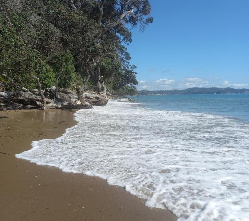 Photo of Others in Red Beach