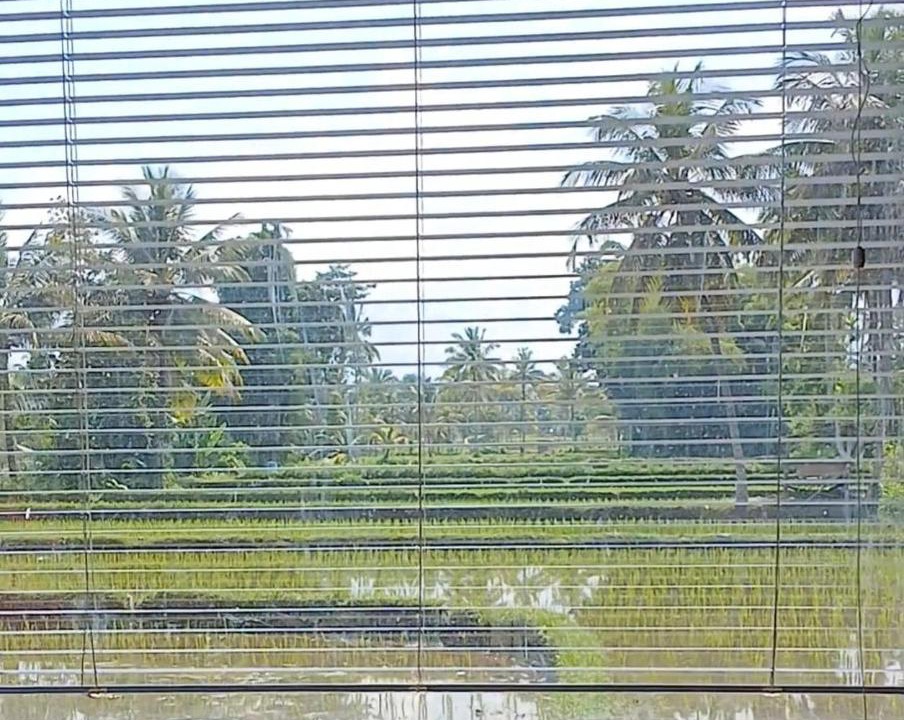Photo of Others in Kecamatan Pringgasela