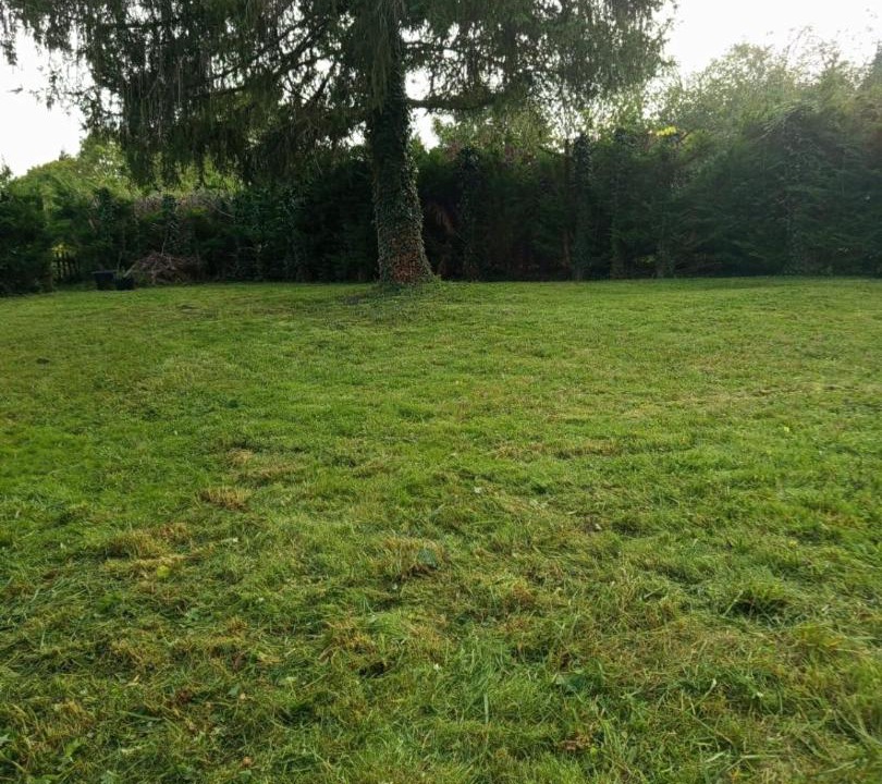 Photo of Others in Thury