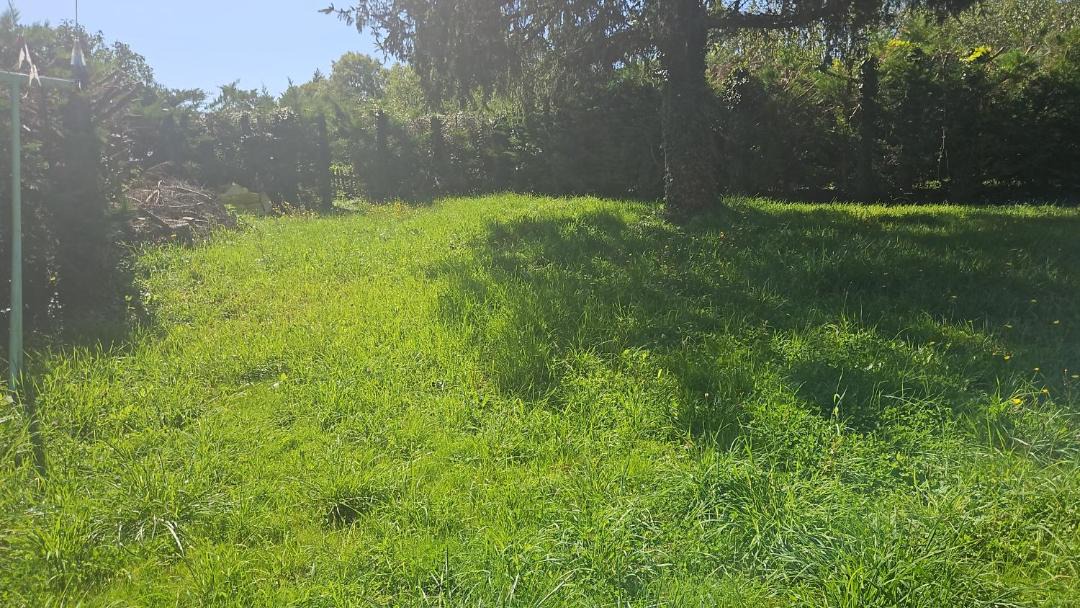 Photo of Outdoor in Thury