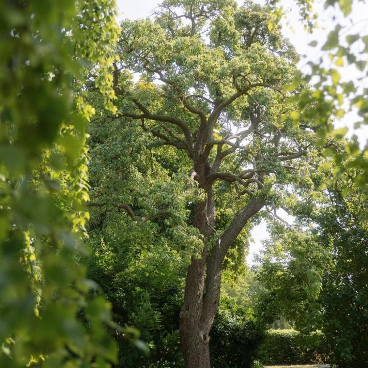 Photo of Others in Aeroskobing