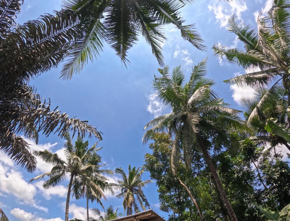 Photo of Others in Kecamatan Pringgasela