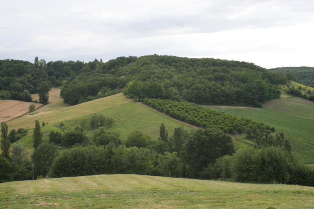 Photo of Others in Penne-d'Agenais
