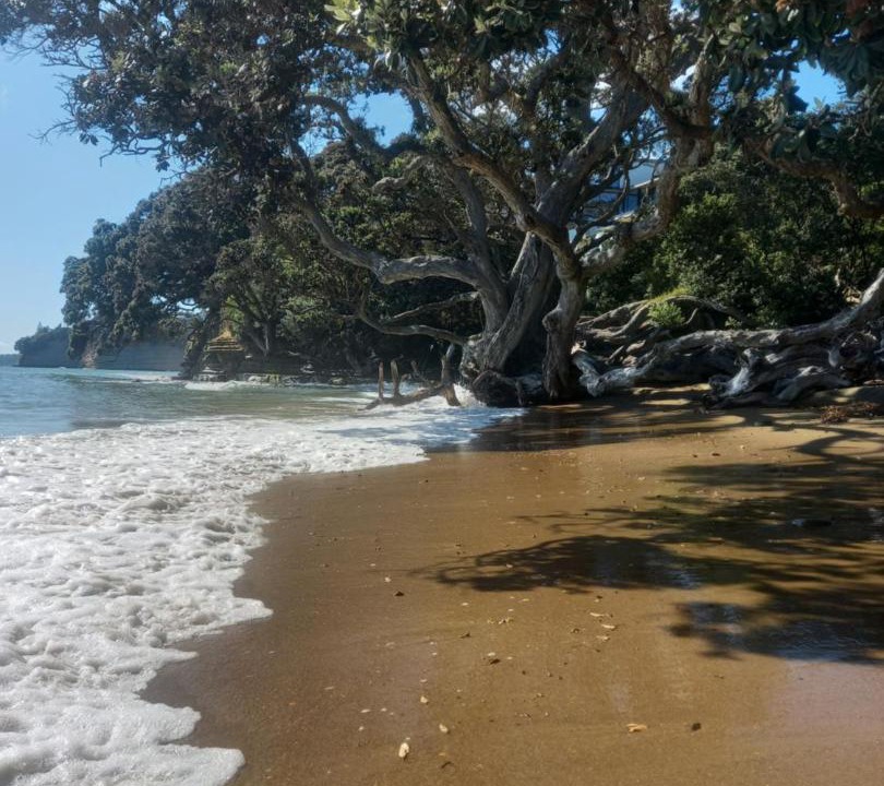 Photo of Others in Red Beach