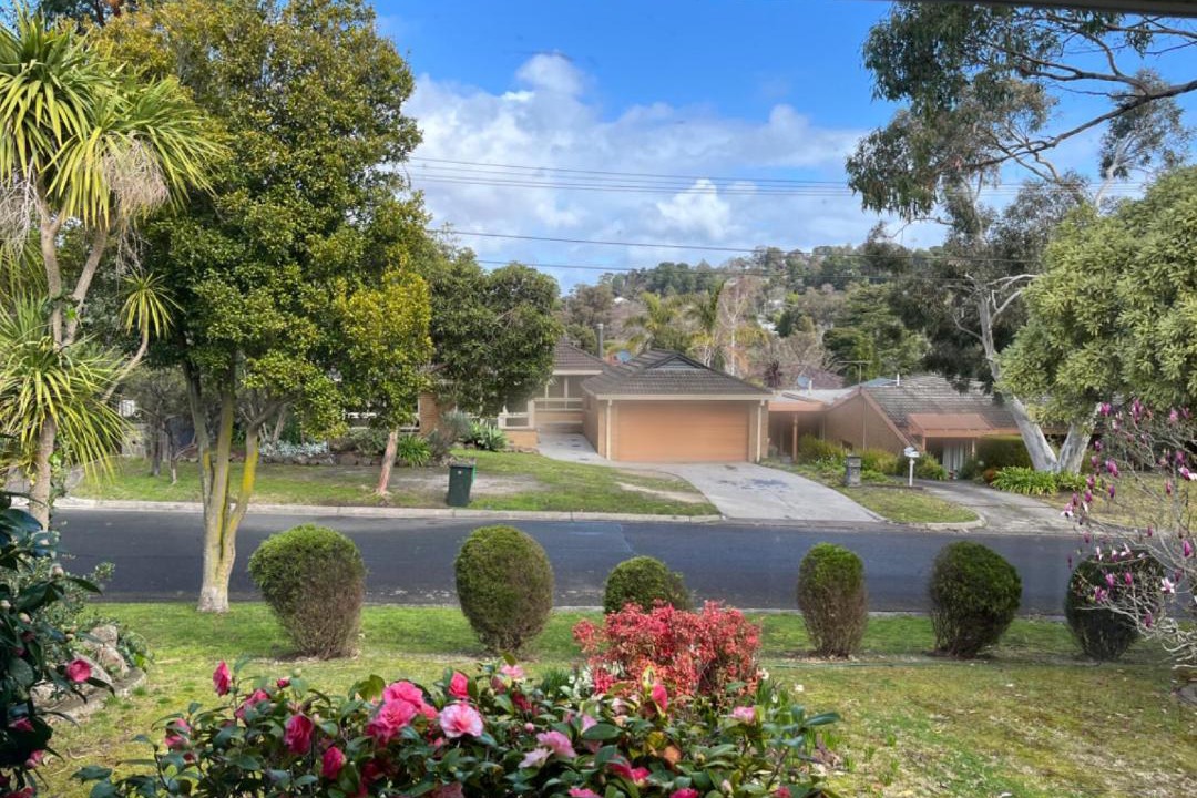 Photo of Others in Ringwood North