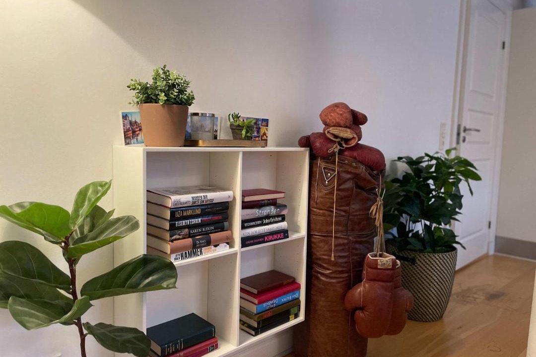 Photo of Livingroom in Copenhagen City Centre