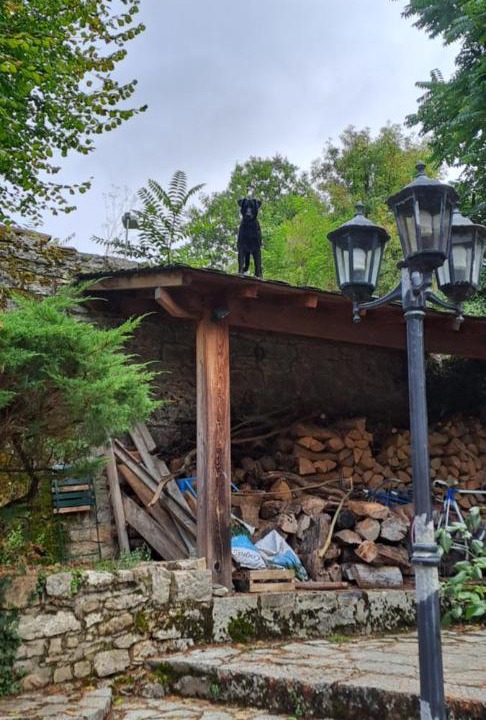 Photo of Others in Gorges du Tarn Causses