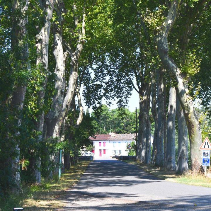 Photo of Others in Larrazet
