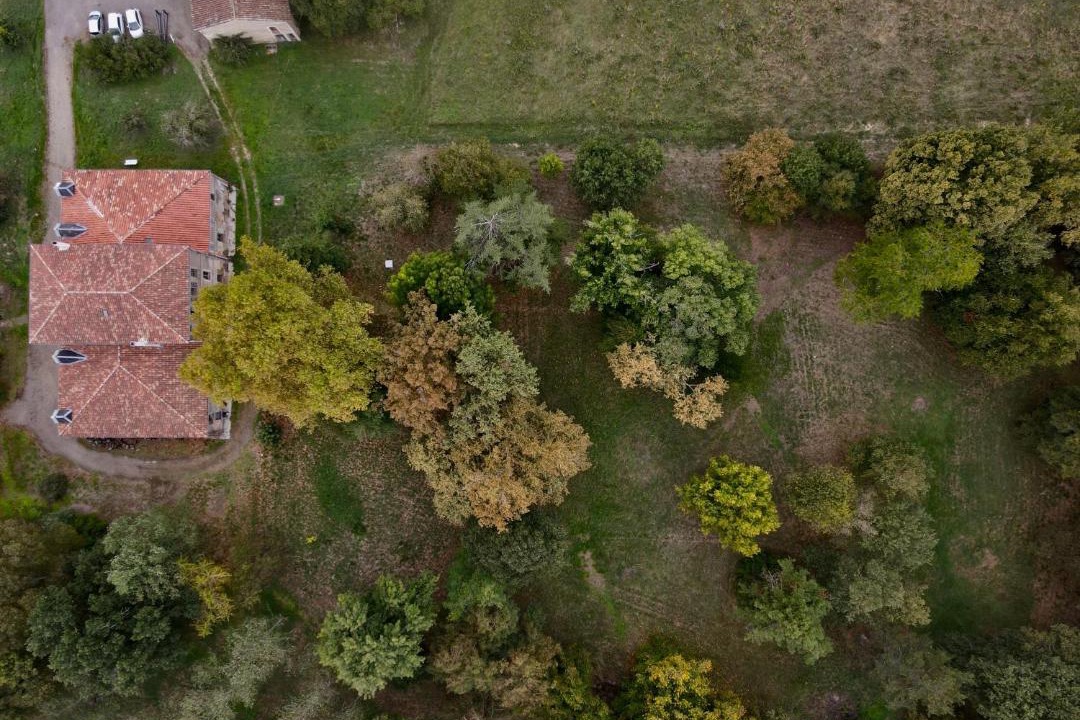 Photo of Others in Castelsarrasin