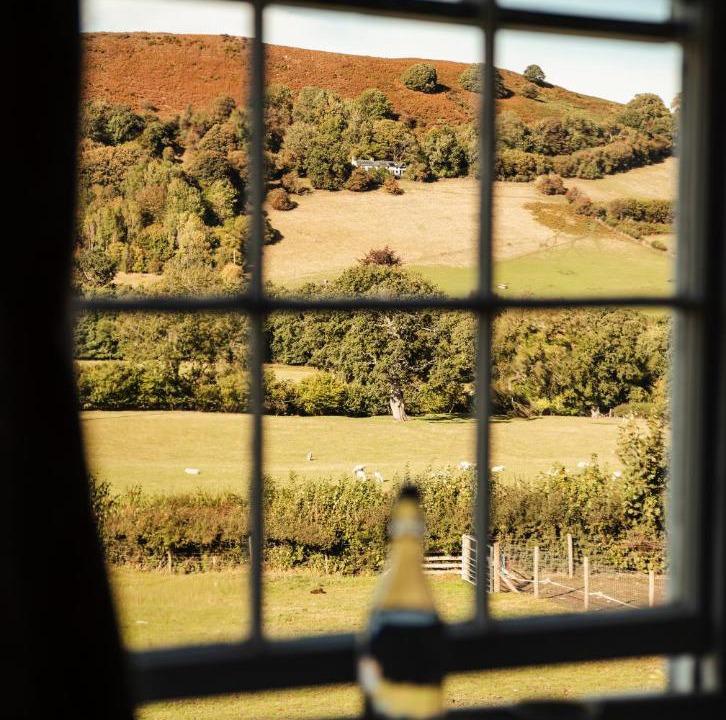 Photo of Others in Kington