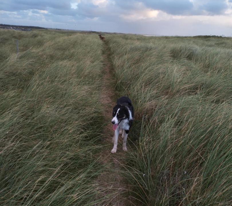 Photo of Others in Trans