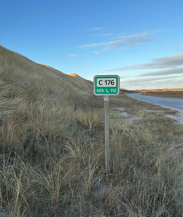 Photo of Others in Trans