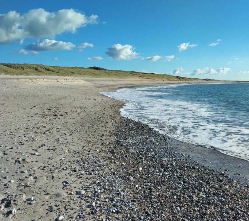 Photo of Others in Trans