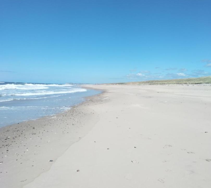 Photo of Others in Trans