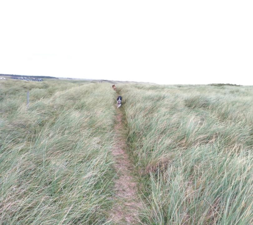 Photo of Others in Trans