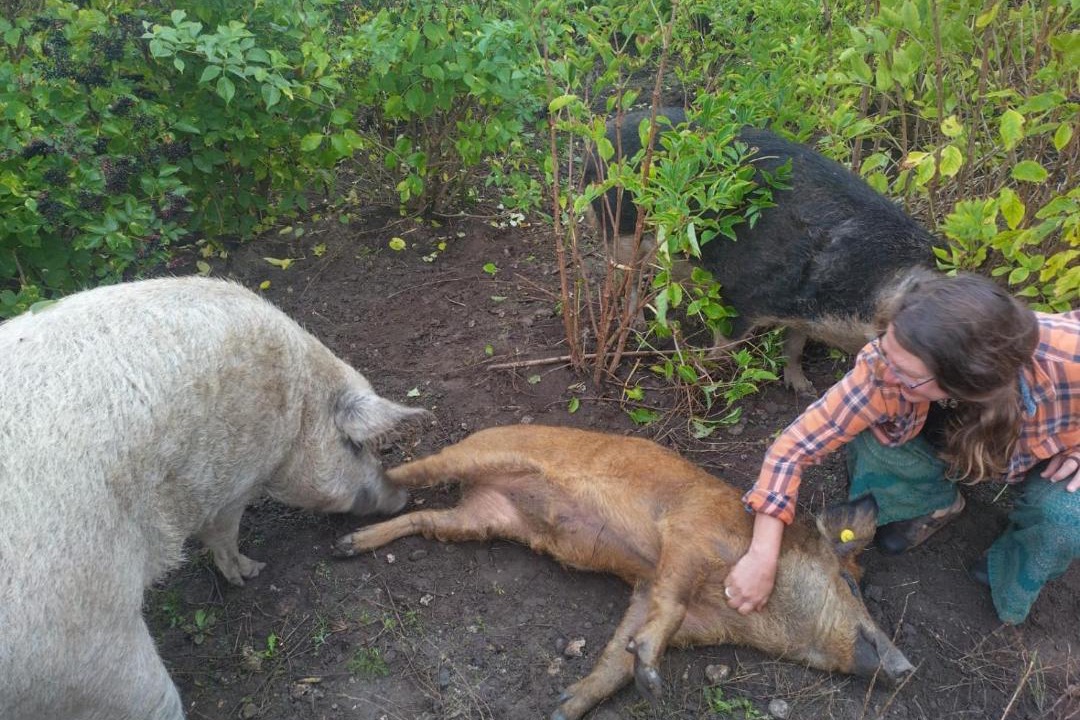 Photo of Others in Trans