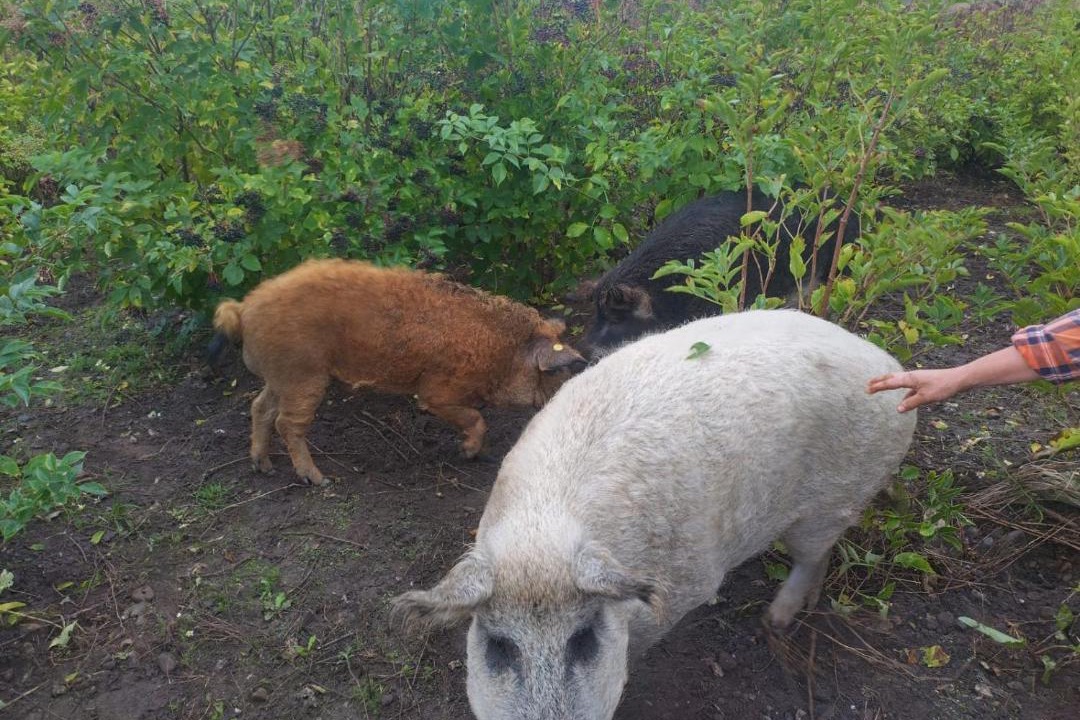 Photo of Others in Trans