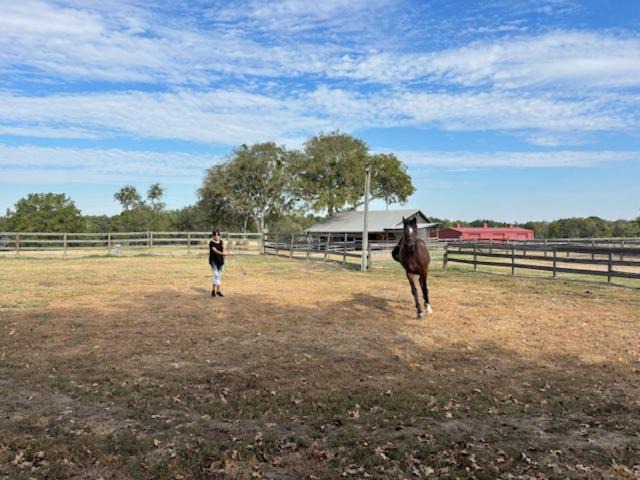 Photo of Others in Round Top