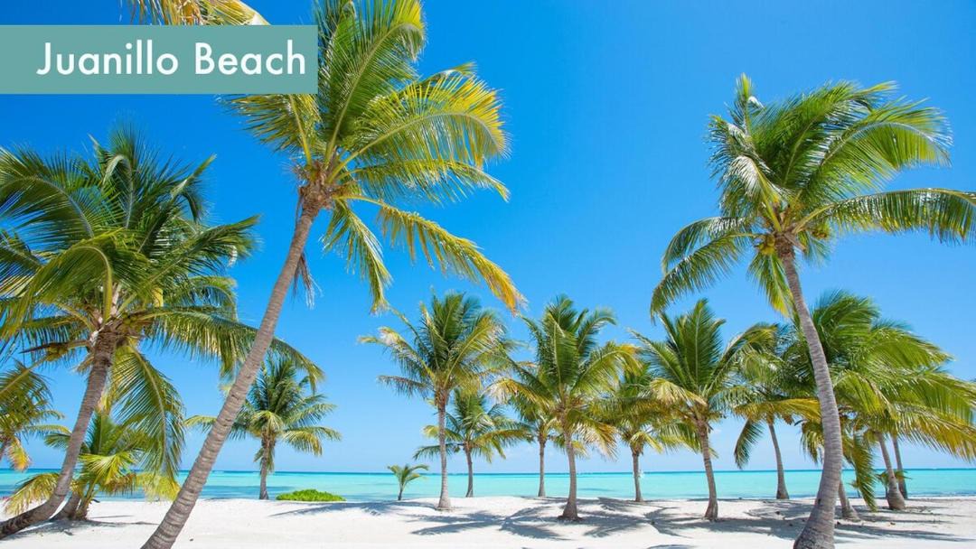 Photo of Others in Yamasa