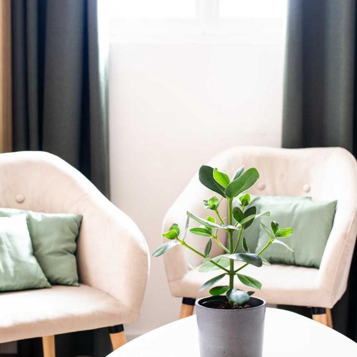 Photo of Livingroom in Monnaie