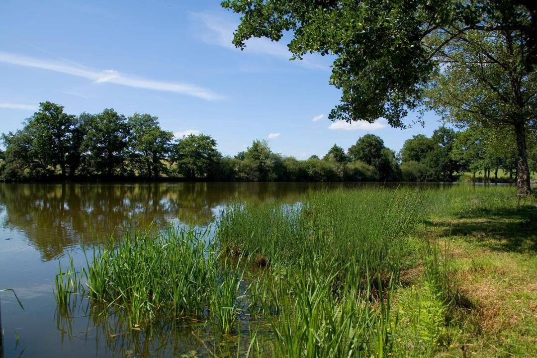 Photo of Others in Thionne