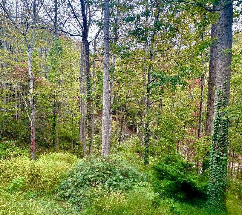 Photo of Outdoor in Fairview
