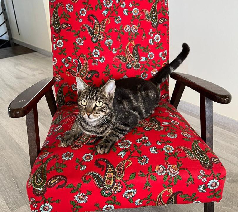 Photo of Others in Ladoix-Serrigny