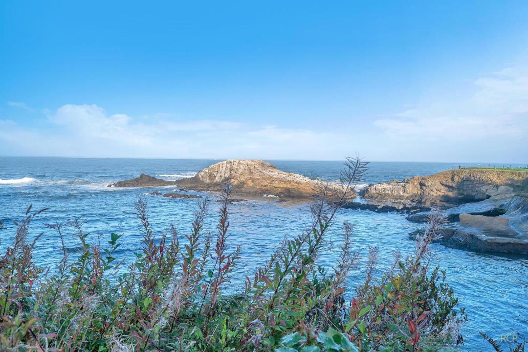 Photo of Others in Depoe Bay