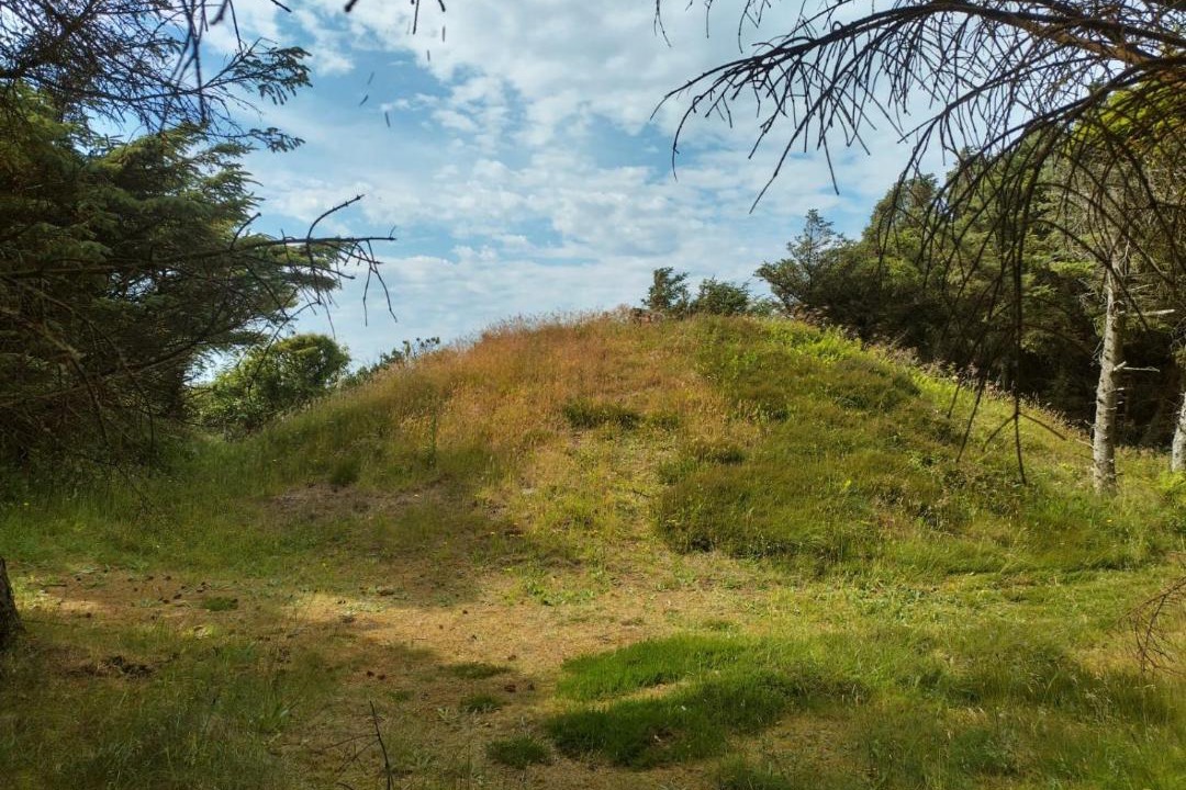 Photo of Others in Trans