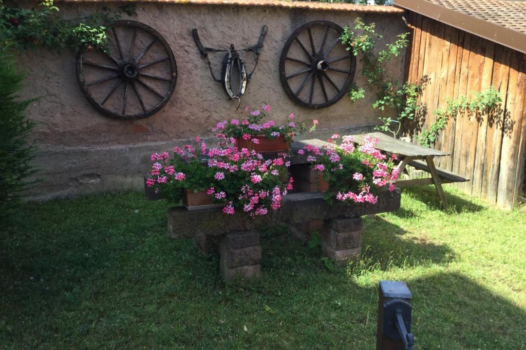 Photo of Others in Obermodern-Zutzendorf