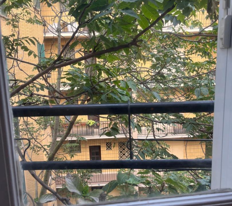 Photo of Patio Balcony in 7th Arrondissement