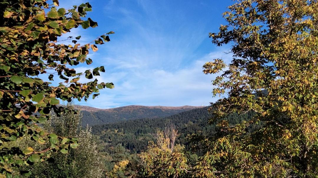 Photo of Others in Marat