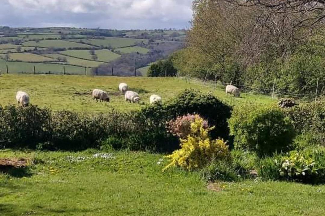 Photo of Others in Westbrook Court