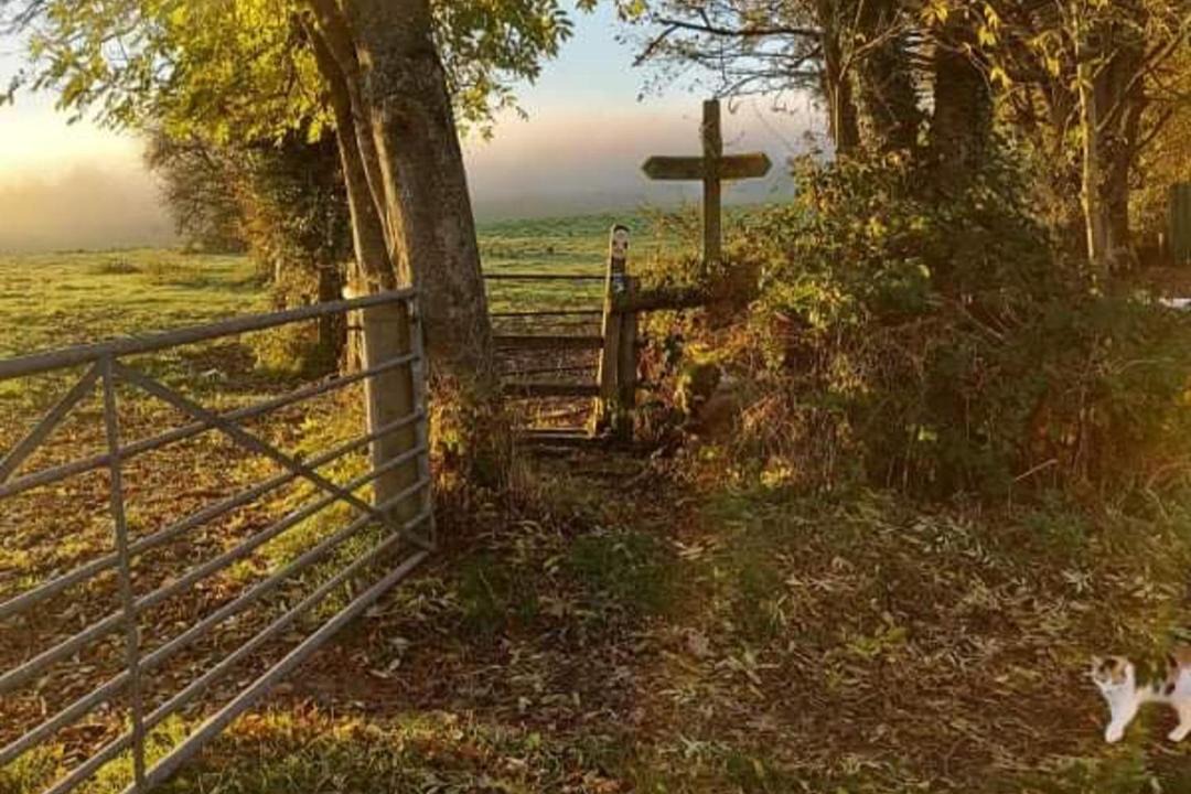 Photo of Others in Westbrook Court