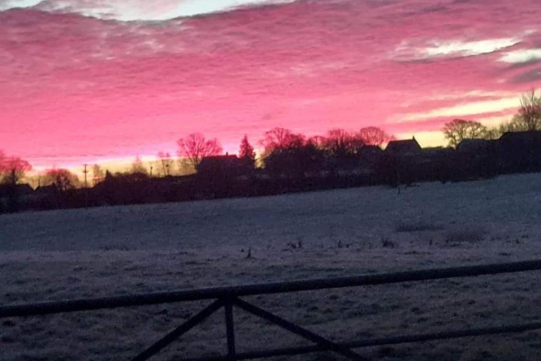 Photo of Others in Westbrook Court