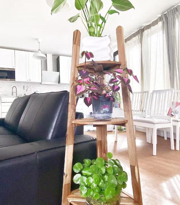 Photo of Others in Pantin