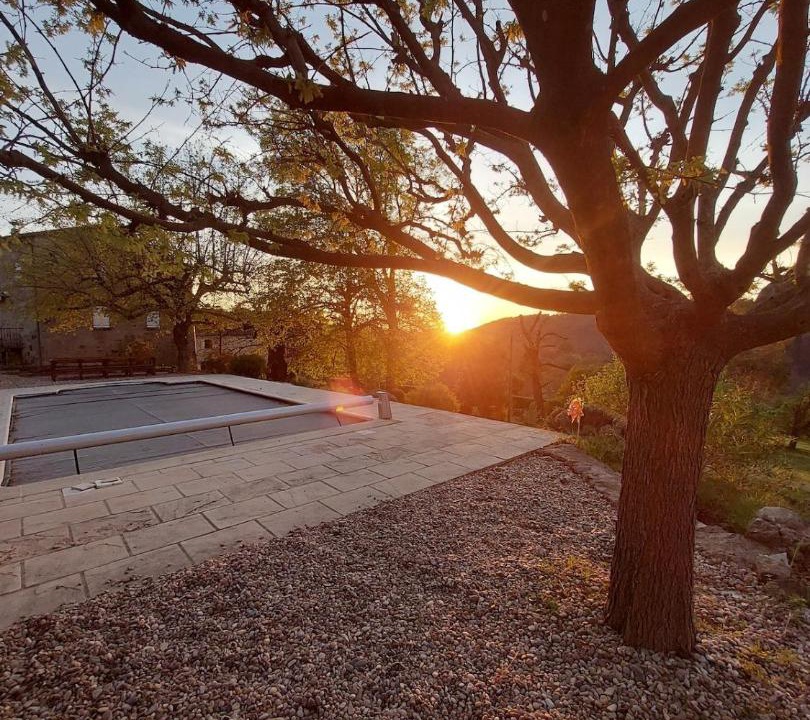 Photo of Others in Ribes